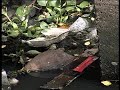 king_04_Chaipattana Water Wheel.flv
