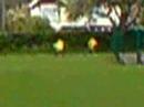dursley chicken run