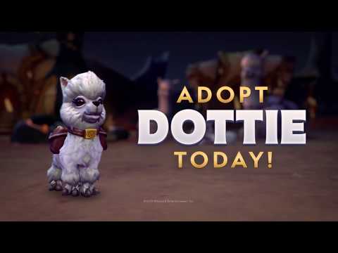 Adopt Dottie and Support Make-A-Wish® and WE!