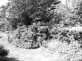 Ghost On Security Camera 2