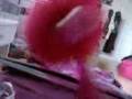 videos de Mimmy & Dowly 4