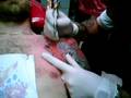 View Video