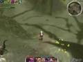 Guild Wars Farming 25 Boss (Nightfall & Faction)