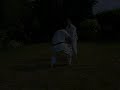 Heian Yondan Bunkai-Vorschl�ge