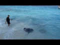 Fish Feeding - Fischf?tterung Reethi Beach - Fonimagoodhoo Maldives