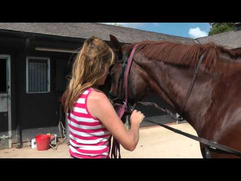 how to fit side reins for lunging