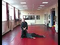 James Moclair Aiki-Jutsu 1st & 2nd Form James Moclair Aiki-Jutsu 1st & 2nd Form