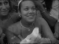 Pitbull -