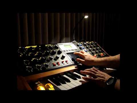 moog minimoog