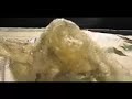 Ecdysis of Python reticulatus Ecdysis of Python reticulatus