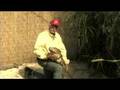 Ken's Alligators 01