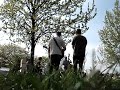 Sunset Seeds at Mauerpark - part II