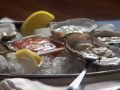 YouTube - Shucking Oysters and Clams