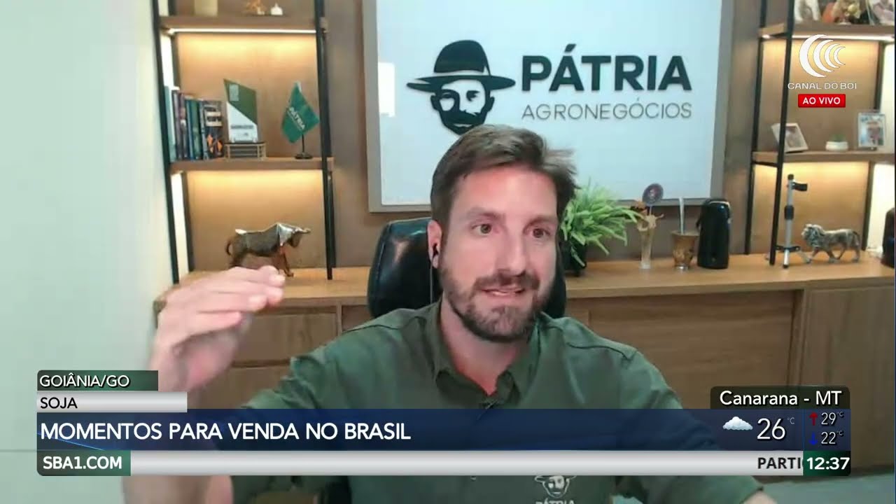 Prêmios brasileiros de soja devem subir com queda na CBOT