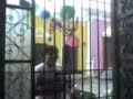 la rama campechana