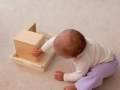 Infant Education - Montessori home tools for the 1st year of life