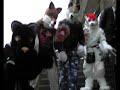 York Fursuit Walk - Feb 23rd York Fursuit Walk - Feb 23rd