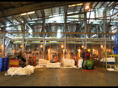 Đổi mới sáng tạo, ứng dụng khoa học công nghệ là nền tảng để phát triển bền vững