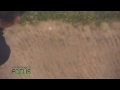 Antelope @ Vanden Berge Golf  - Bunker