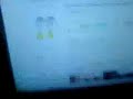 (uploaded by papsy)&nbsp;Lucky Bamboo Plant In-a-Bottle