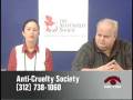 ACS on CAN-TV: Spotlight on CASA - The Chicago Animal Shelter Alliance, Part Three