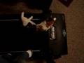 Lazy-cat-falls-off-t