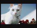 Roger Federer Commercial \"Nationale Suisse\"