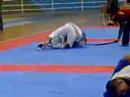 campeonato interno macaco gold team