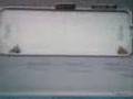 videos de Bumper-Ball Bug
