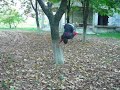 Wallspin