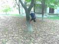 Wallspin
