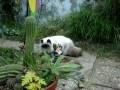 videos de double_take_euphopia.MPG