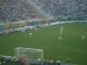 timao timao