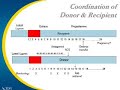 Donor Egg/IVF Statistics Donor Egg/IVF Statistics