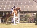 CSO d\