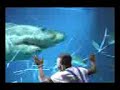 SHARK \"www.oss.000webhost.info\" SHARK \"www.oss.000webhost.info\"