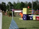 Internaional Show jumping Modena \
