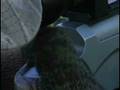 videos de BillTX.flv