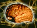Humanist Psychology