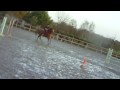 2010 - CSO - Cintré - Illico & Florian