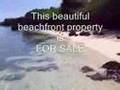 Beachfront Property (4-hectare) - FOR SALE, Moalboal, Cebu