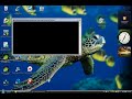 Gta IV pc: problems and fatal errors