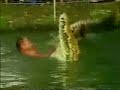 Friendly Crocodile