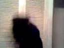 head banging Con peluca