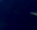 fiestas-fres-2007.html