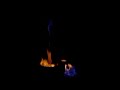 Queimada Fuensalda�a 2006
