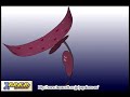 Pepakura Designer Screensaver