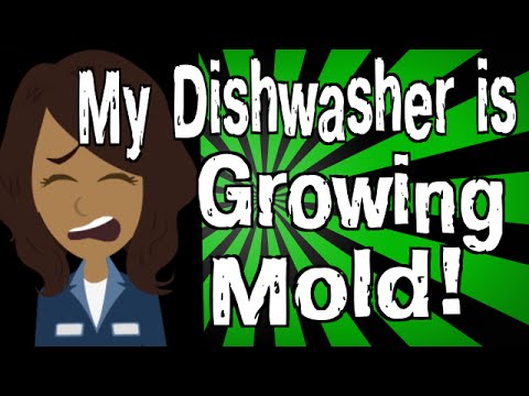 how to get mold out of a dishwasher