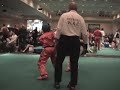 Dylan Wilkins vs Wales (Kick Boxing)
