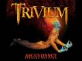 Trivium- Like Light to the Flies Solo Cover